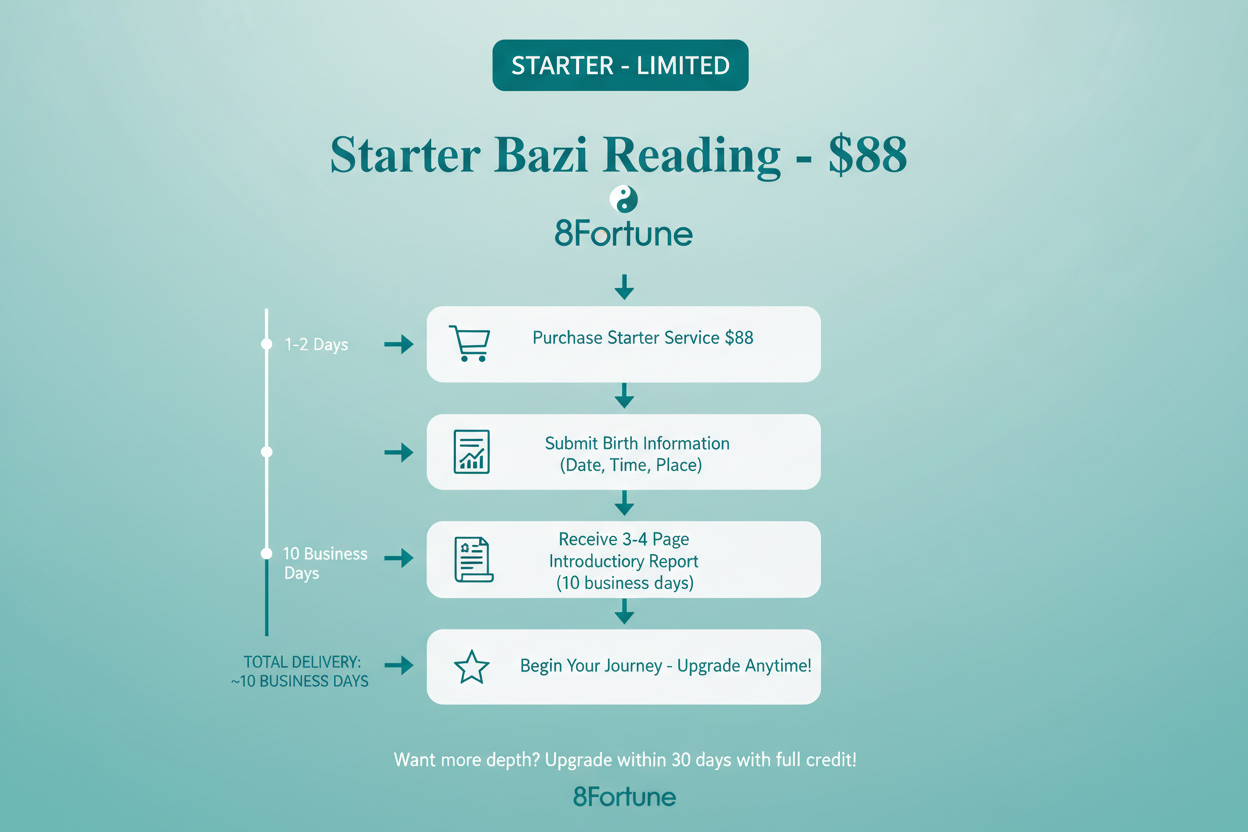 Starter Bazi Reading Service Process